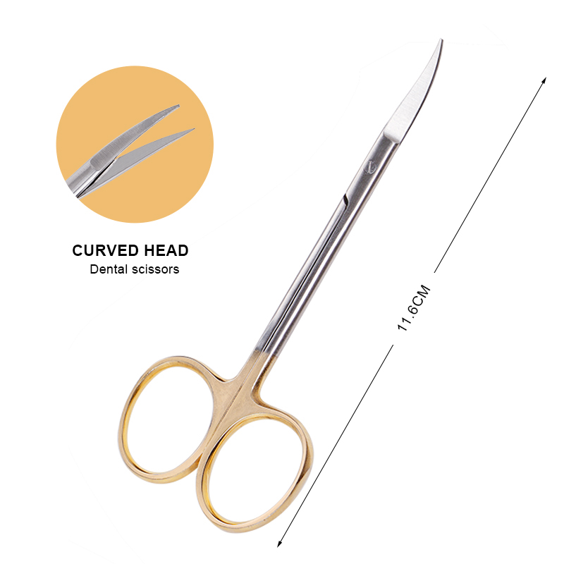 ทันตกรรมสแตนเลสกรรไกรผ่าตัดทาง - Medical Scissors บทวิจารณ์และราคา